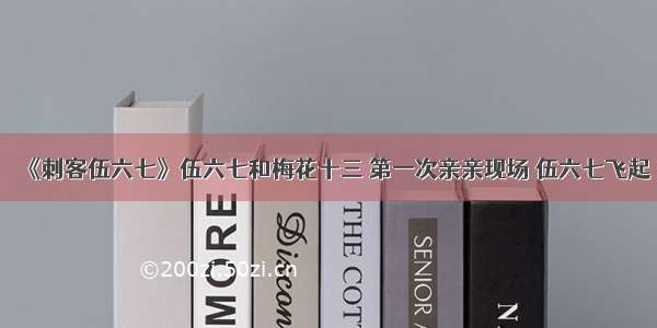 《刺客伍六七》伍六七和梅花十三 第一次亲亲现场 伍六七飞起