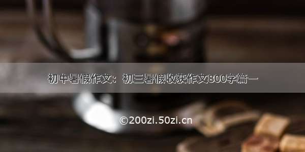 初中暑假作文：初三暑假收获作文800字篇一