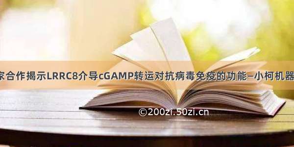 中国科学家合作揭示LRRC8介导cGAMP转运对抗病毒免疫的功能—小柯机器人—科学网