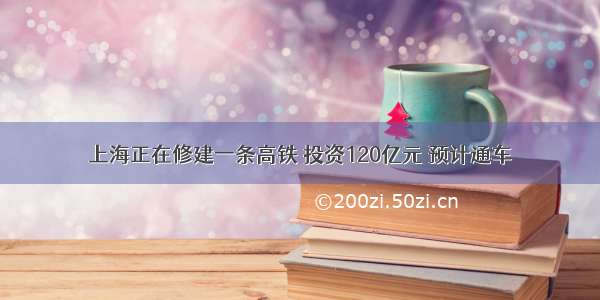 上海正在修建一条高铁 投资120亿元 预计通车