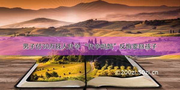 男子付30万找人代孕 “代孕妈妈”反悔要回孩子