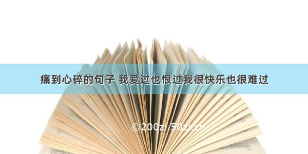 痛到心碎的句子 我爱过也恨过我很快乐也很难过