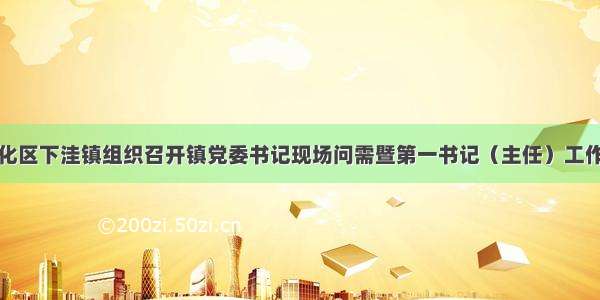 滨州沾化区下洼镇组织召开镇党委书记现场问需暨第一书记（主任）工作推进会