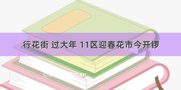 行花街 过大年 11区迎春花市今开锣