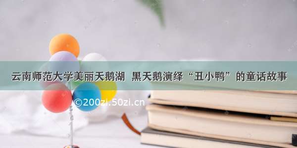 云南师范大学美丽天鹅湖  黑天鹅演绎“丑小鸭”的童话故事