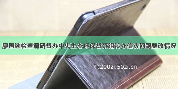 廖国勋检查调研督办中央生态环保督察组转办信访问题整改情况