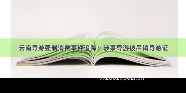 云南导游强制消费事件追踪：涉事导游被吊销导游证