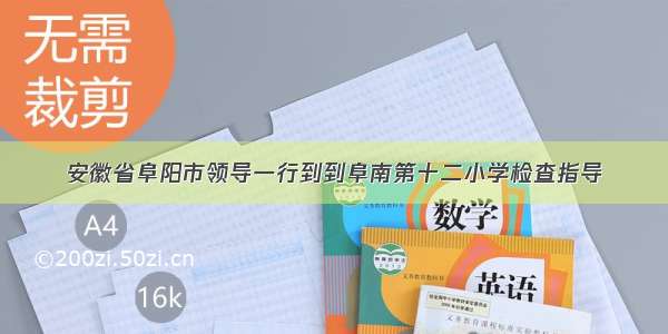 安徽省阜阳市领导一行到到阜南第十二小学检查指导