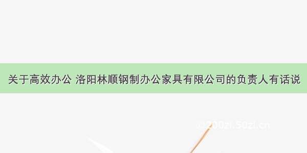 关于高效办公 洛阳林顺钢制办公家具有限公司的负责人有话说