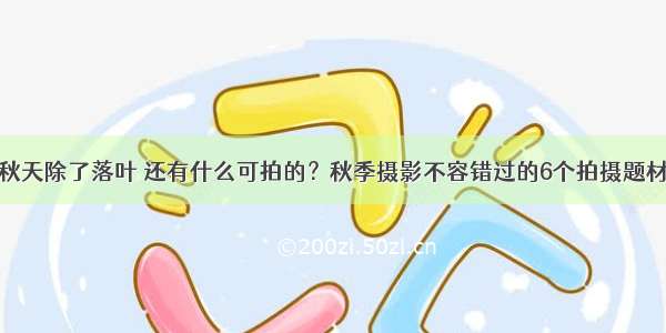 秋天除了落叶 还有什么可拍的？秋季摄影不容错过的6个拍摄题材