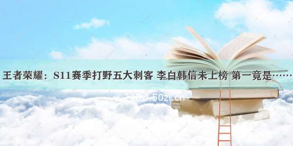 王者荣耀：S11赛季打野五大刺客 李白韩信未上榜 第一竟是……