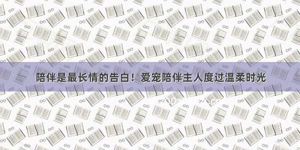 陪伴是最长情的告白！爱宠陪伴主人度过温柔时光