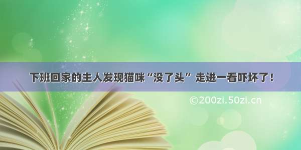 下班回家的主人发现猫咪“没了头” 走进一看吓坏了！