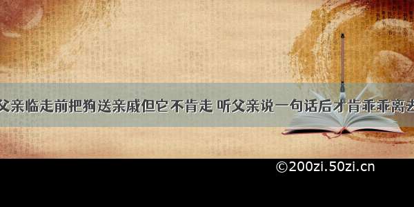 父亲临走前把狗送亲戚但它不肯走 听父亲说一句话后才肯乖乖离去