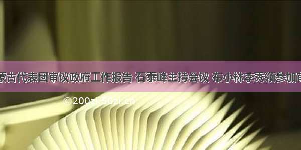 内蒙古代表团审议政府工作报告 石泰峰主持会议 布小林李秀领参加审议