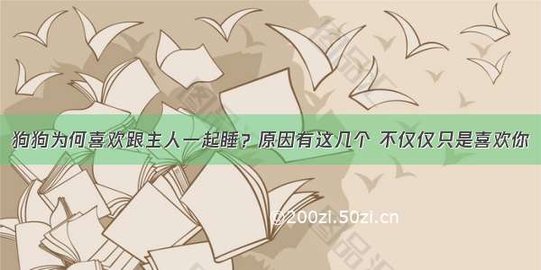 狗狗为何喜欢跟主人一起睡？原因有这几个 不仅仅只是喜欢你