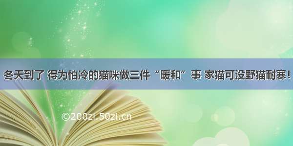 冬天到了 得为怕冷的猫咪做三件“暖和”事 家猫可没野猫耐寒！