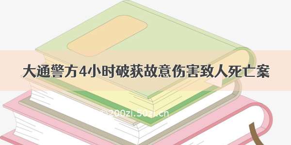 大通警方4小时破获故意伤害致人死亡案