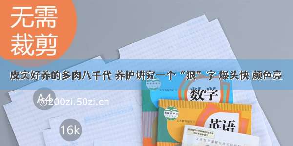 皮实好养的多肉八千代 养护讲究一个“狠”字 爆头快 颜色亮