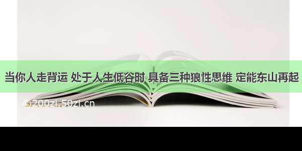 当你人走背运 处于人生低谷时 具备三种狼性思维 定能东山再起