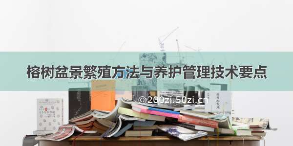 榕树盆景繁殖方法与养护管理技术要点