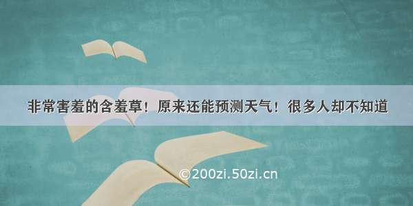 非常害羞的含羞草！原来还能预测天气！很多人却不知道