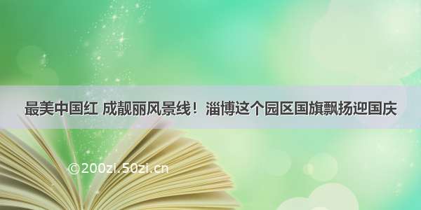 最美中国红 成靓丽风景线！淄博这个园区国旗飘扬迎国庆