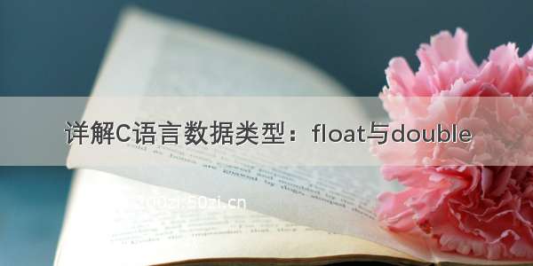 详解C语言数据类型：float与double