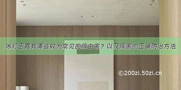 冰灯玉露有哪些较为常见的病虫害？以及病害的正确防治方法