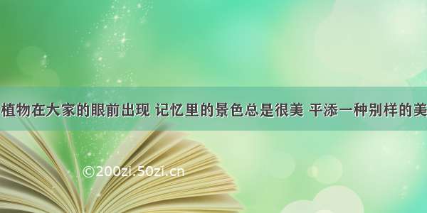 植物在大家的眼前出现 记忆里的景色总是很美 平添一种别样的美