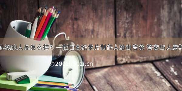 孙杨的人品怎么样？一位日本纪录片制作人给出答案 答案出人意料