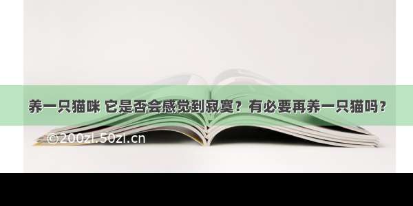 养一只猫咪 它是否会感觉到寂寞？有必要再养一只猫吗？