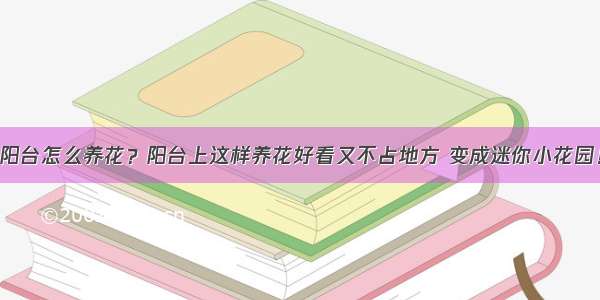 阳台怎么养花？阳台上这样养花好看又不占地方 变成迷你小花园！