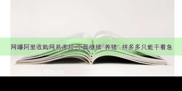 网曝阿里收购网易考拉 丁磊继续“养猪” 拼多多只能干着急