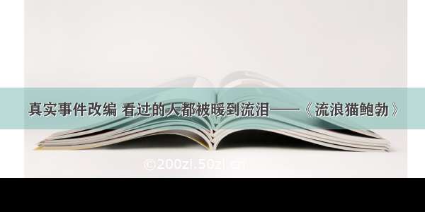 真实事件改编 看过的人都被暖到流泪——《流浪猫鲍勃》