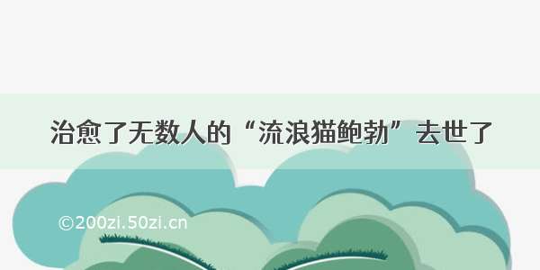 治愈了无数人的“流浪猫鲍勃”去世了