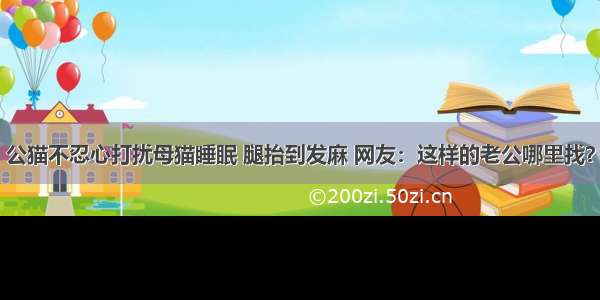 公猫不忍心打扰母猫睡眠 腿抬到发麻 网友：这样的老公哪里找？