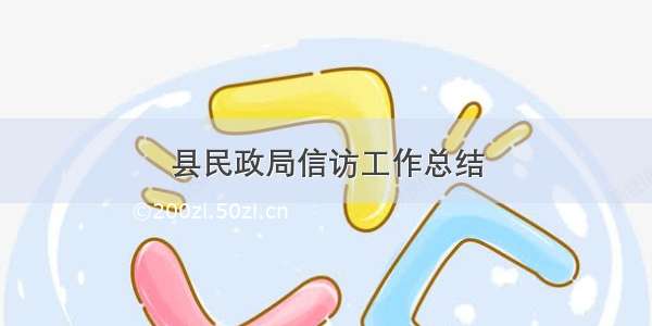 县民政局信访工作总结