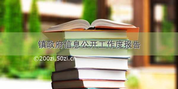 镇政府信息公开工作度报告