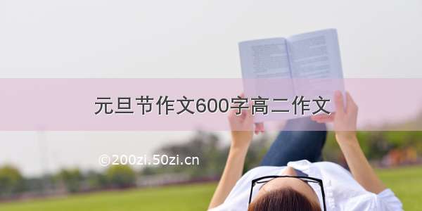 元旦节作文600字高二作文