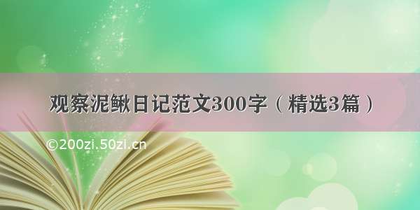 观察泥鳅日记范文300字（精选3篇）