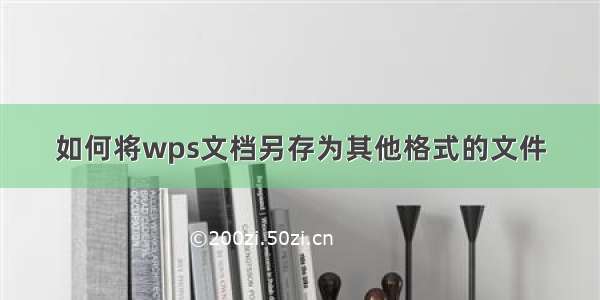 如何将wps文档另存为其他格式的文件