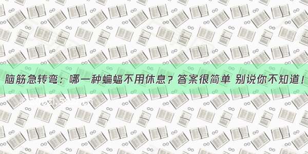 脑筋急转弯：哪一种蝙蝠不用休息？答案很简单 别说你不知道！