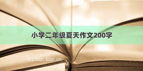 小学二年级夏天作文200字