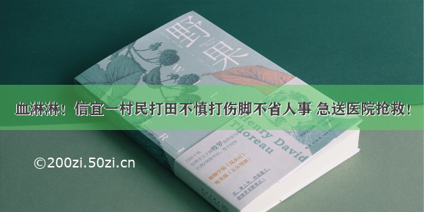 血淋淋！信宜一村民打田不慎打伤脚不省人事 急送医院抢救！