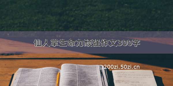 仙人掌生命力顽强作文300字