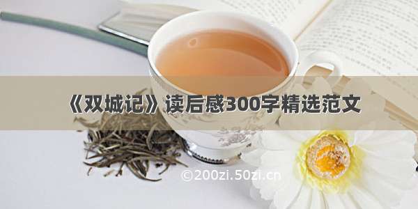 《双城记》读后感300字精选范文