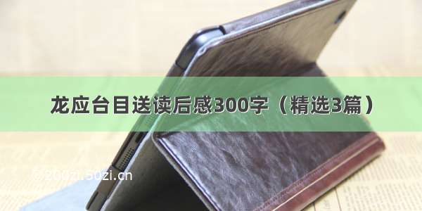 龙应台目送读后感300字（精选3篇）