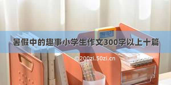 暑假中的趣事小学生作文300字以上十篇