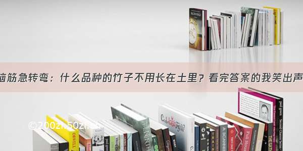 脑筋急转弯：什么品种的竹子不用长在土里？看完答案的我笑出声！